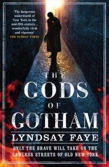 The Gods of Gotham - book cover