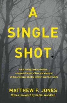 A Single Shot - book cover