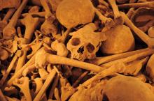 Best Mystery -  The Chemistry of Death 1