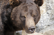 Best Thriller -  Sovereign 4